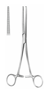ARTERY FORCEPS ROCHESTER