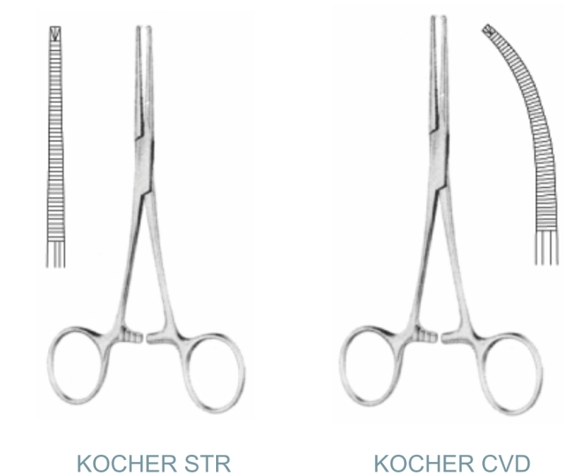 KOCHER   ARTERY FORCEPS                                      