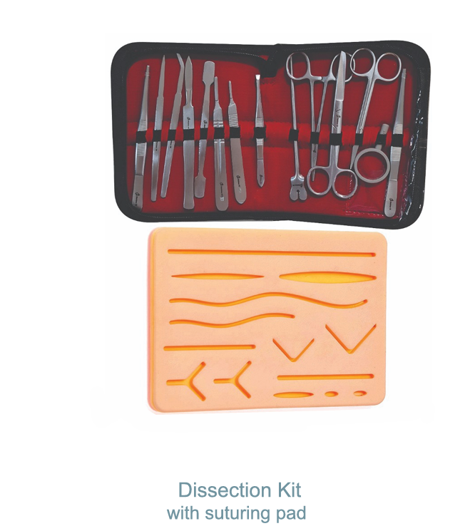 DISSECTION KIT WITH SUTURING PAD
