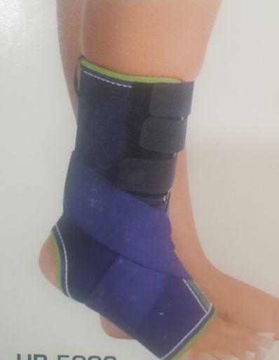 [HB 5006                          ] ANKLE BRACE LARGE                                                        